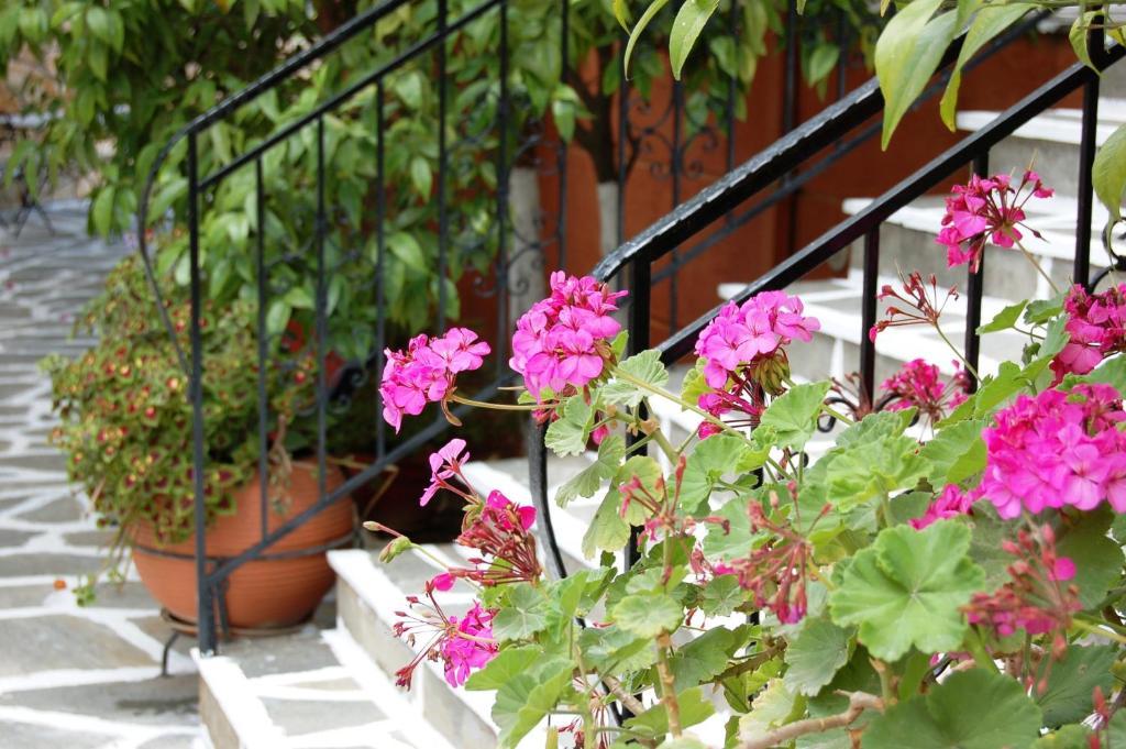 Hotel Villa Marie Sívota Екстериор снимка